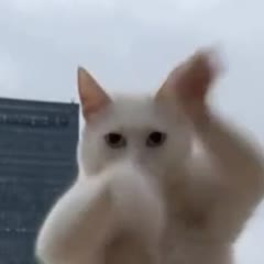 Питомец